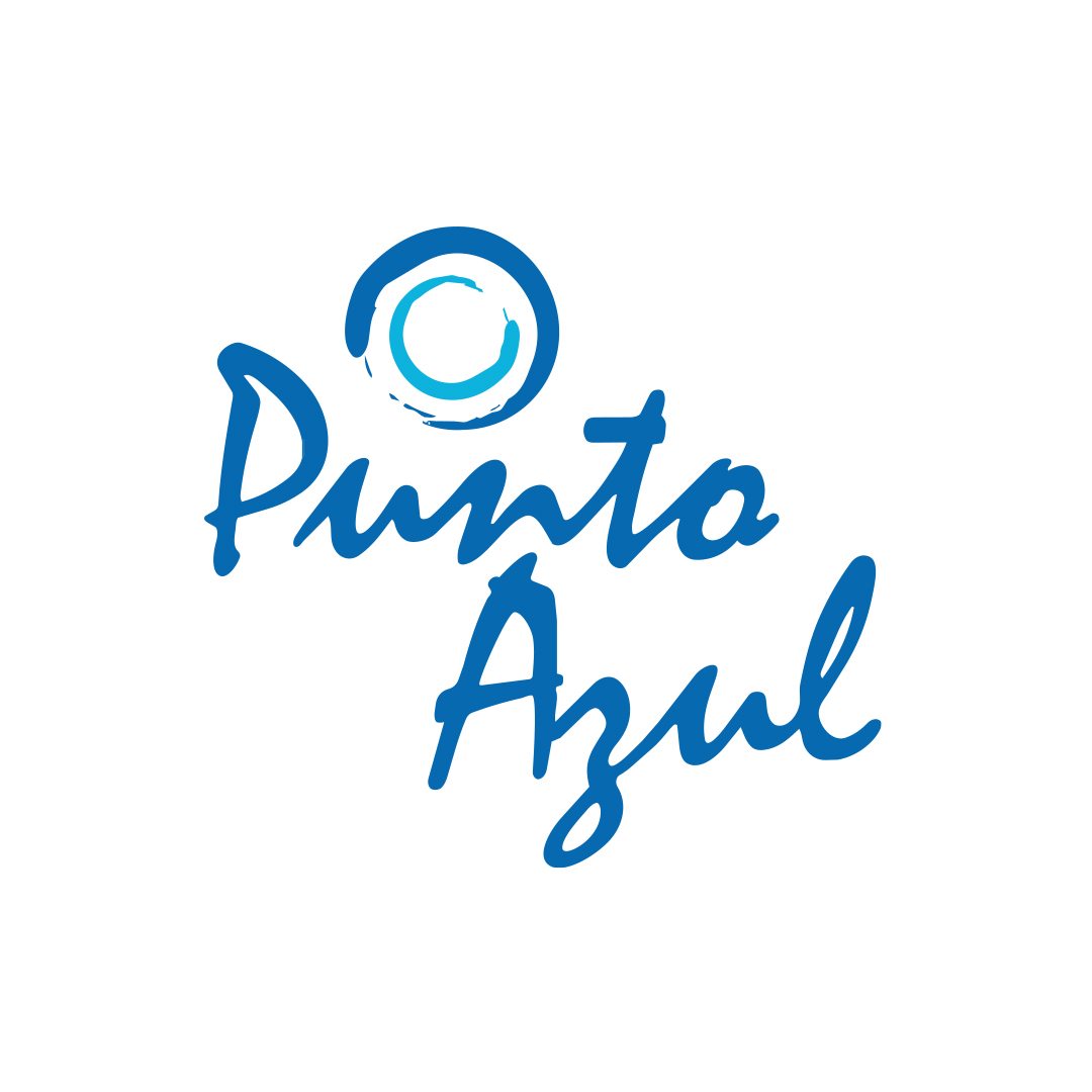 Punto Azul